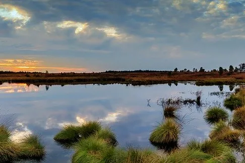 Rubrik_Naturschutz-pixabay-moor-panorama-2802329_960_720